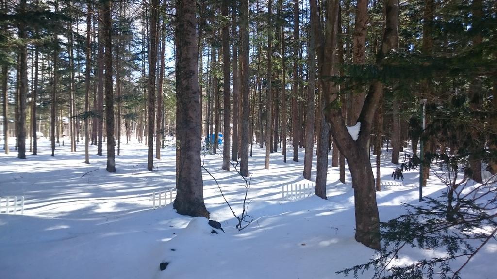 Pension Candytuft Karuizawa Εξωτερικό φωτογραφία