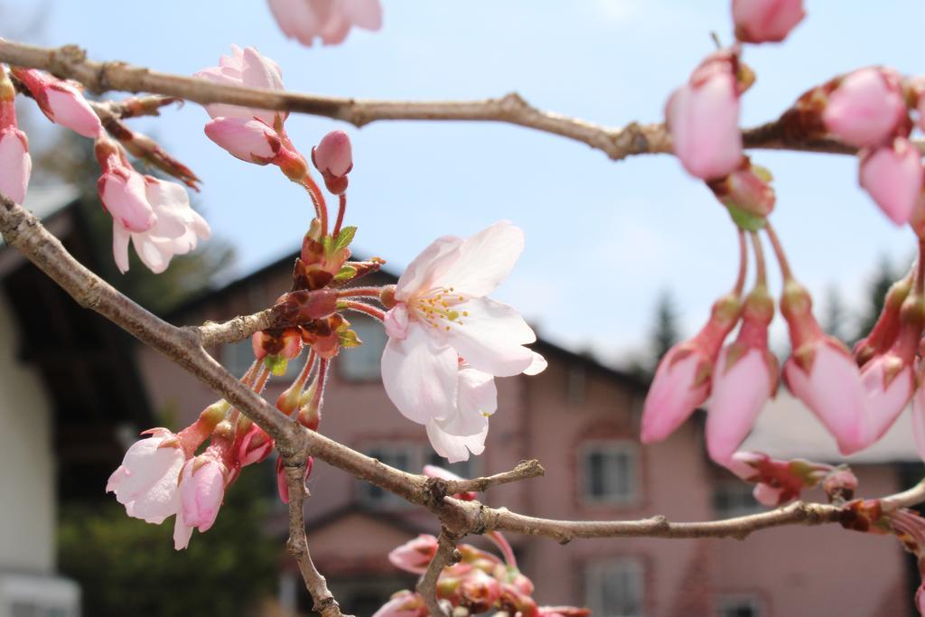 Pension Candytuft Karuizawa Εξωτερικό φωτογραφία
