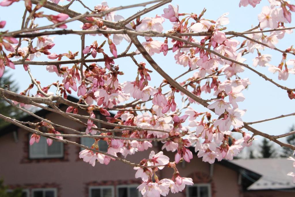 Pension Candytuft Karuizawa Εξωτερικό φωτογραφία