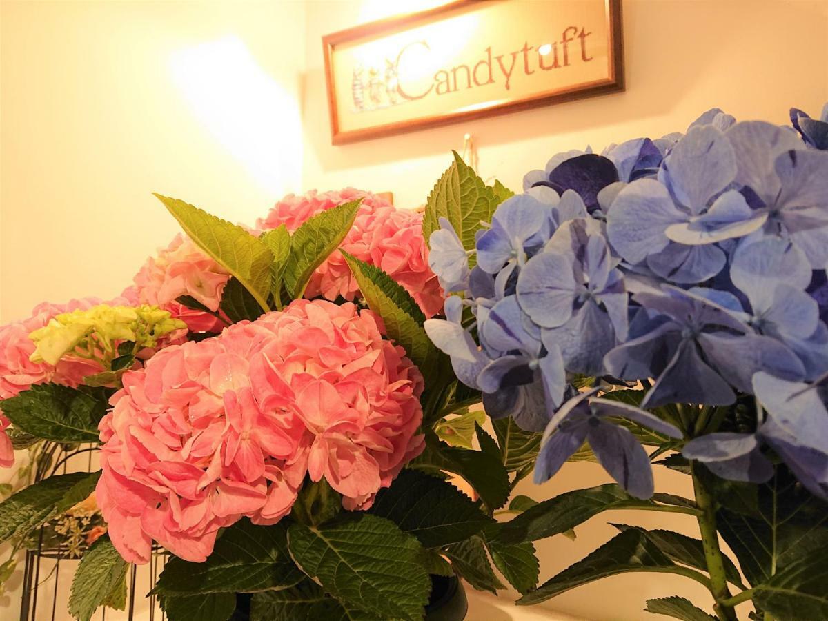 Pension Candytuft Karuizawa Εξωτερικό φωτογραφία
